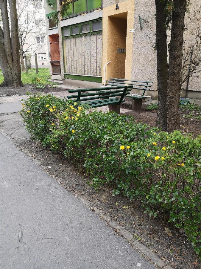 Orosháza Natasa Apartman מראה חיצוני תמונה