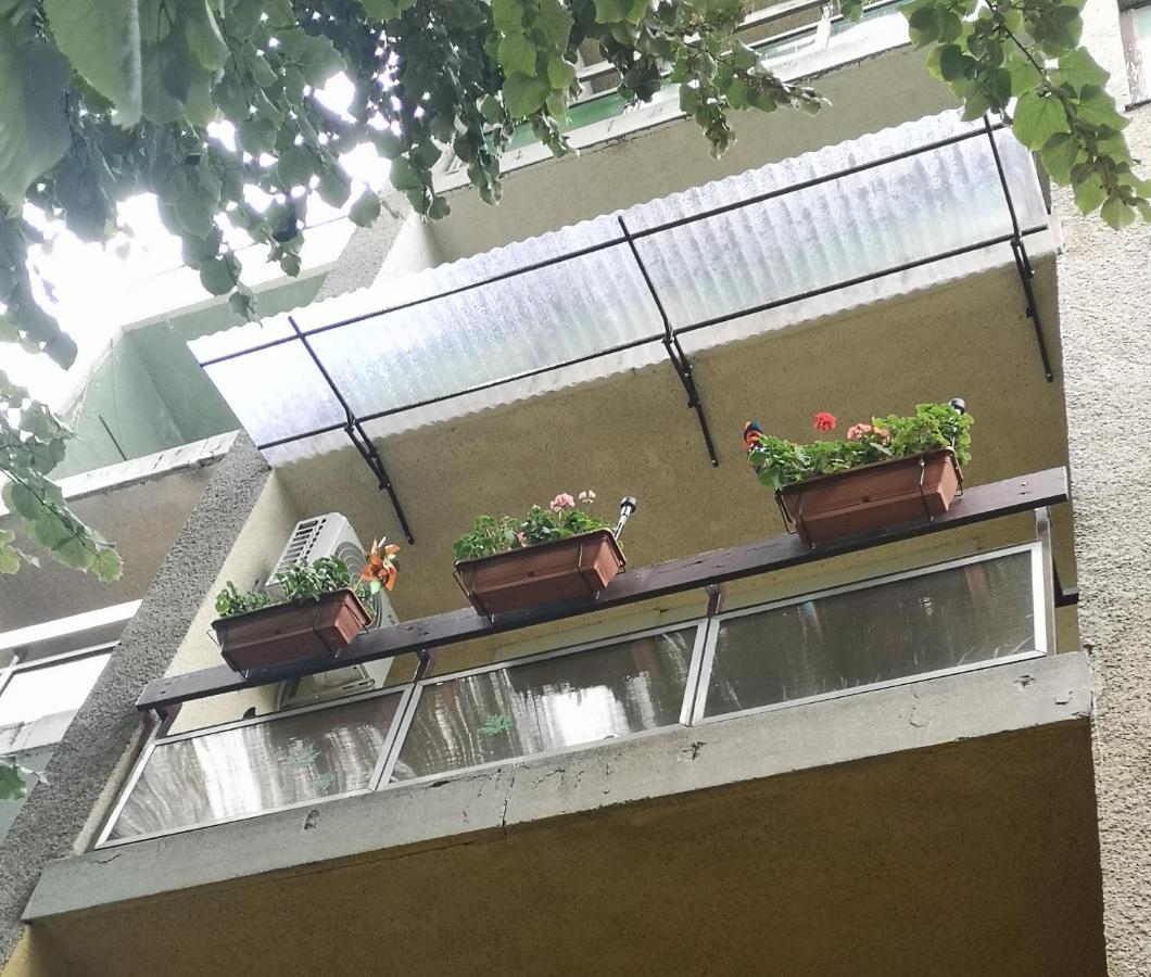 Orosháza Natasa Apartman מראה חיצוני תמונה